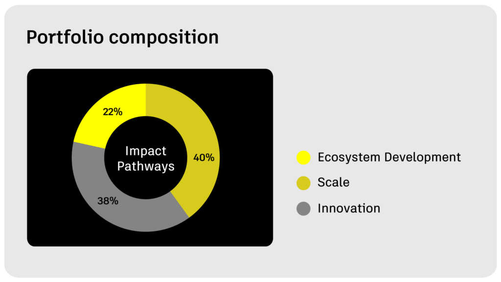 Impact Measurement Management Portfolio composition