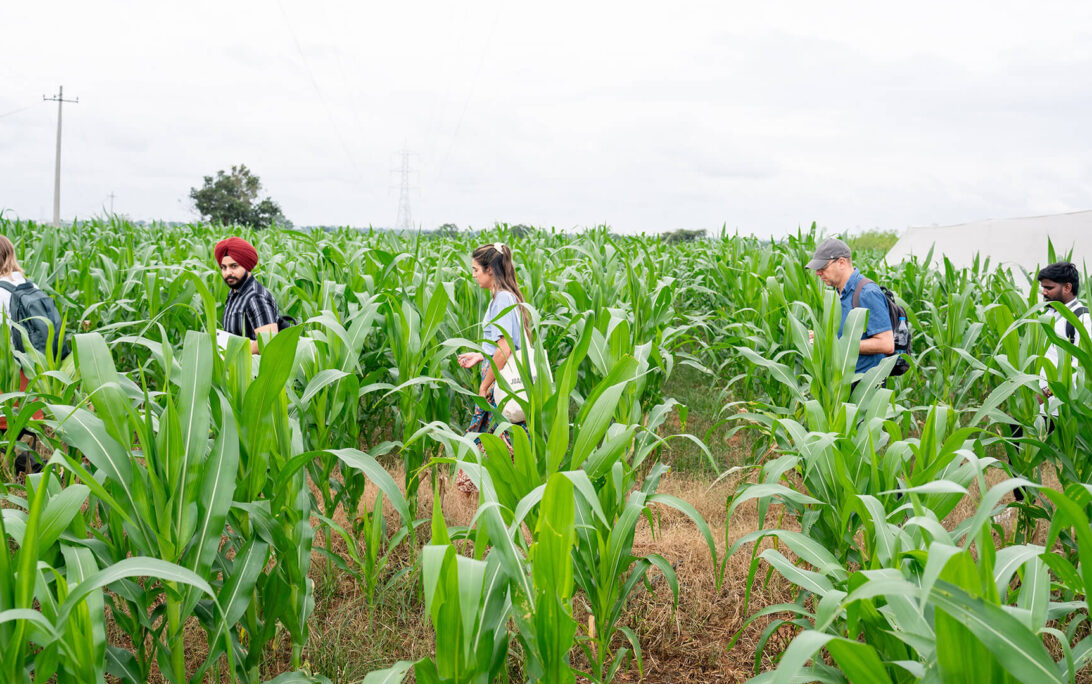 Kheyti and Autodesk team members walk through a farm in India