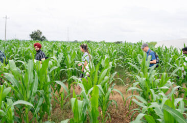 Kheyti and Autodesk team members walk through a farm in India
