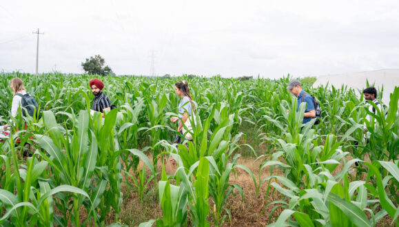 Kheyti and Autodesk team members walk through a farm in India