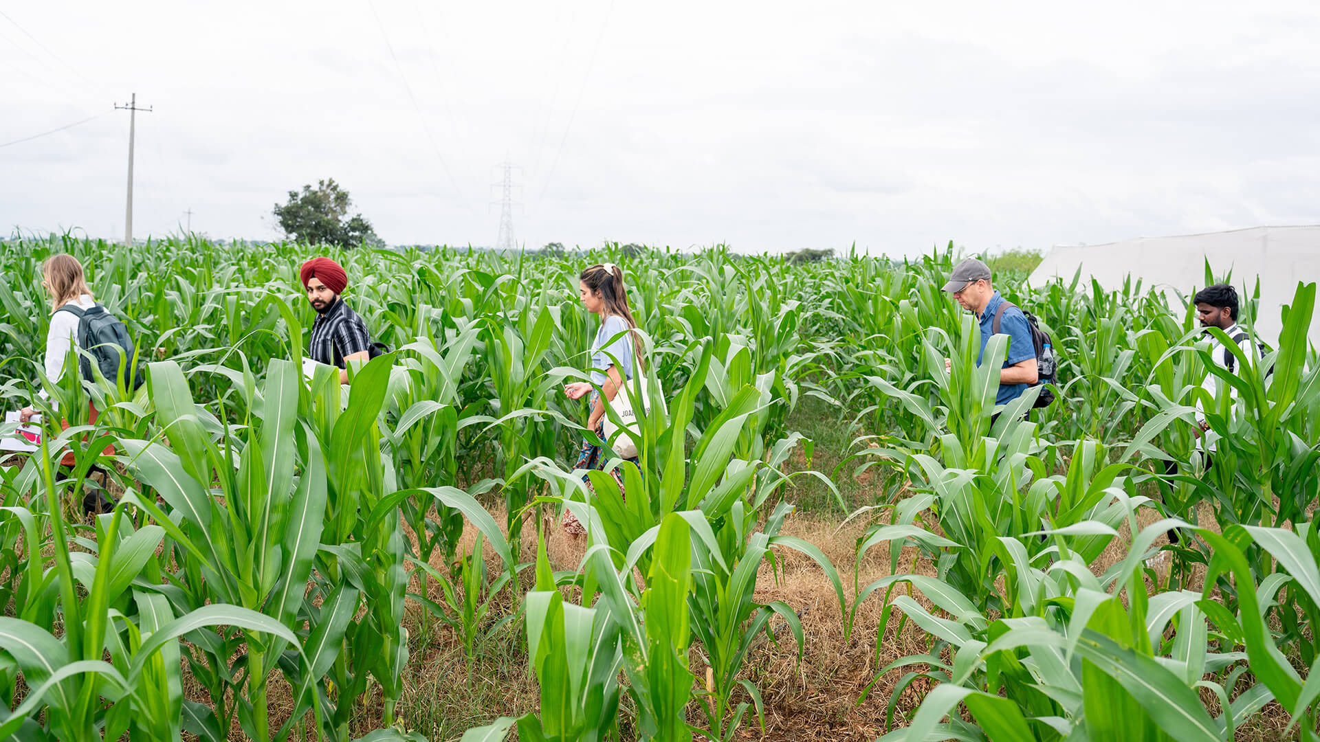 Kheyti and Autodesk team members walk through a farm in India