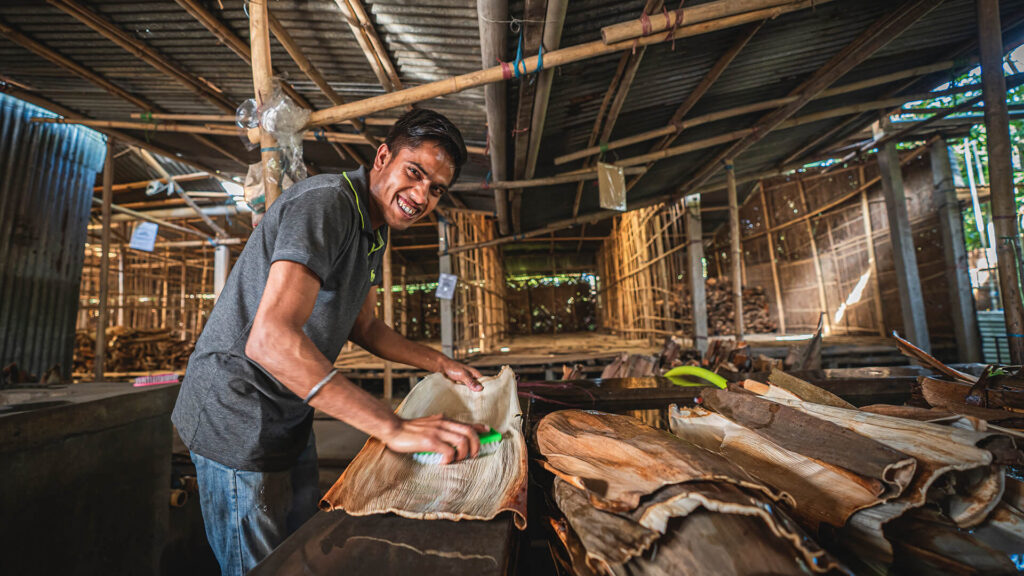 Tamul Plates, Assam, selling 100% compostable tableware made from naturally shed areca palm leaves