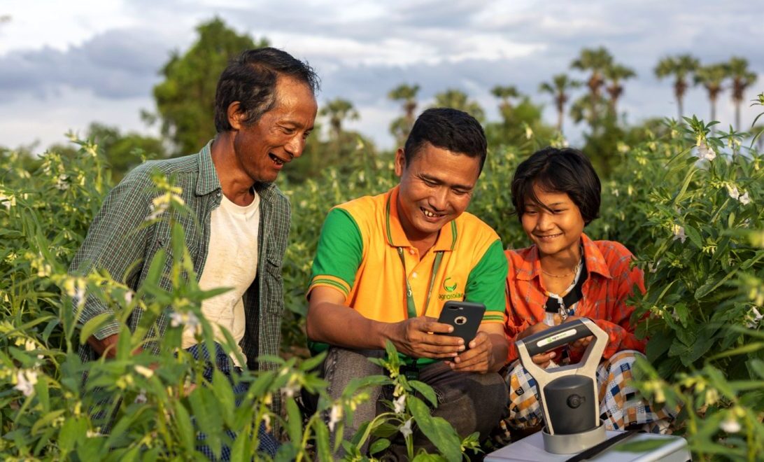 Three individuals&mdash;an older man, a middle-aged man, and a teenager&mdash;standing in a farm field surrounded by tall green crops on a sunny day. All three are smiling and looking at a mobile phone, held by the middle-aged man, which appears to interacting with a sensor or other mechanism for monitoring the crop.