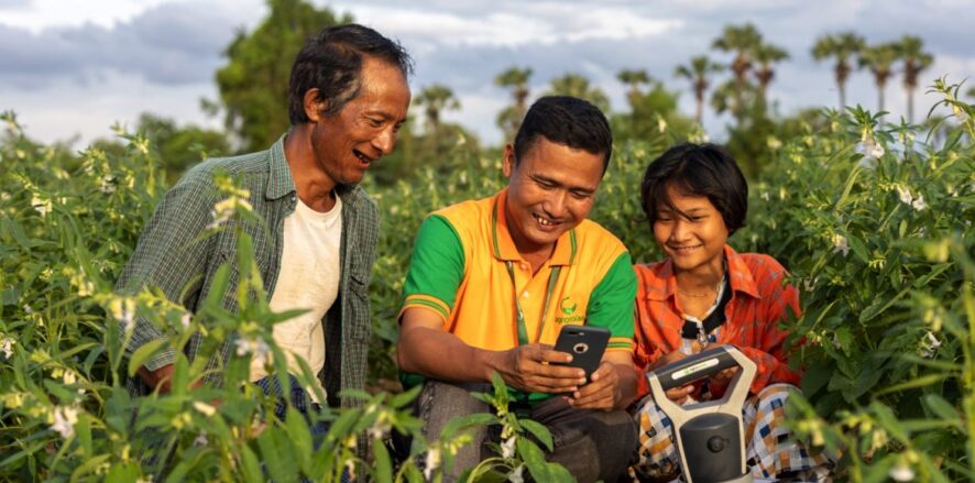 Three individuals—an older man, a middle-aged man, and a teenager—standing in a farm field surrounded by tall green crops on a sunny day. All three are smiling and looking at a mobile phone, held by the middle-aged man, which appears to interacting with a sensor or other mechanism for monitoring the crop.