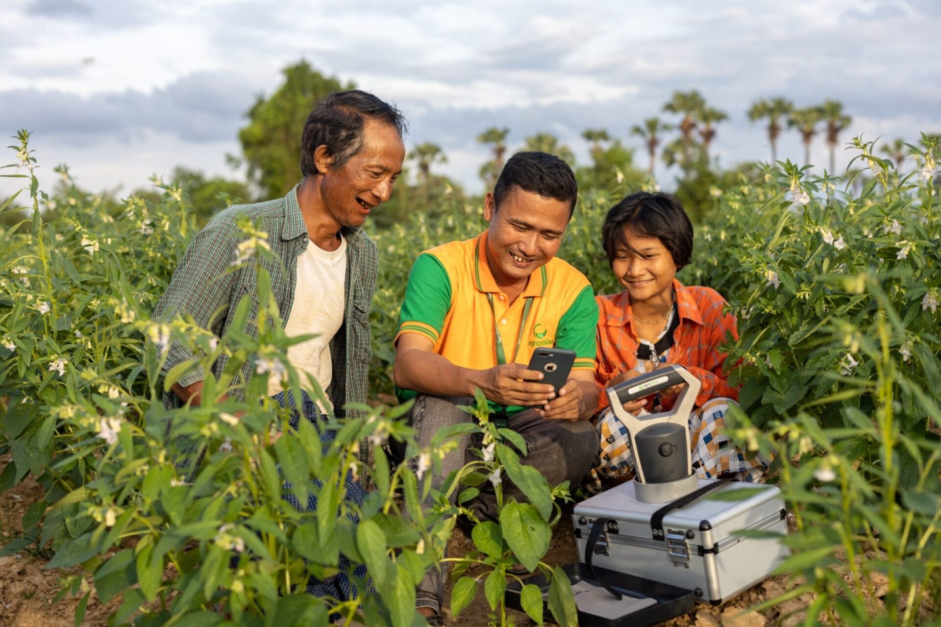 Three individuals—an older man, a middle-aged man, and a teenager—standing in a farm field surrounded by tall green crops on a sunny day. All three are smiling and looking at a mobile phone, held by the middle-aged man, which appears to interacting with a sensor or other mechanism for monitoring the crop.