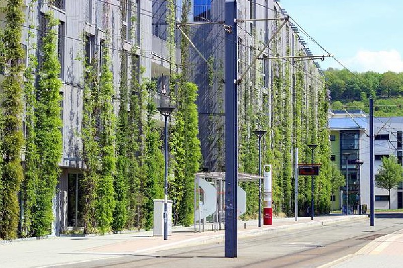 Nueva tecnologías implementan el verde en las fachadas o cubiertas