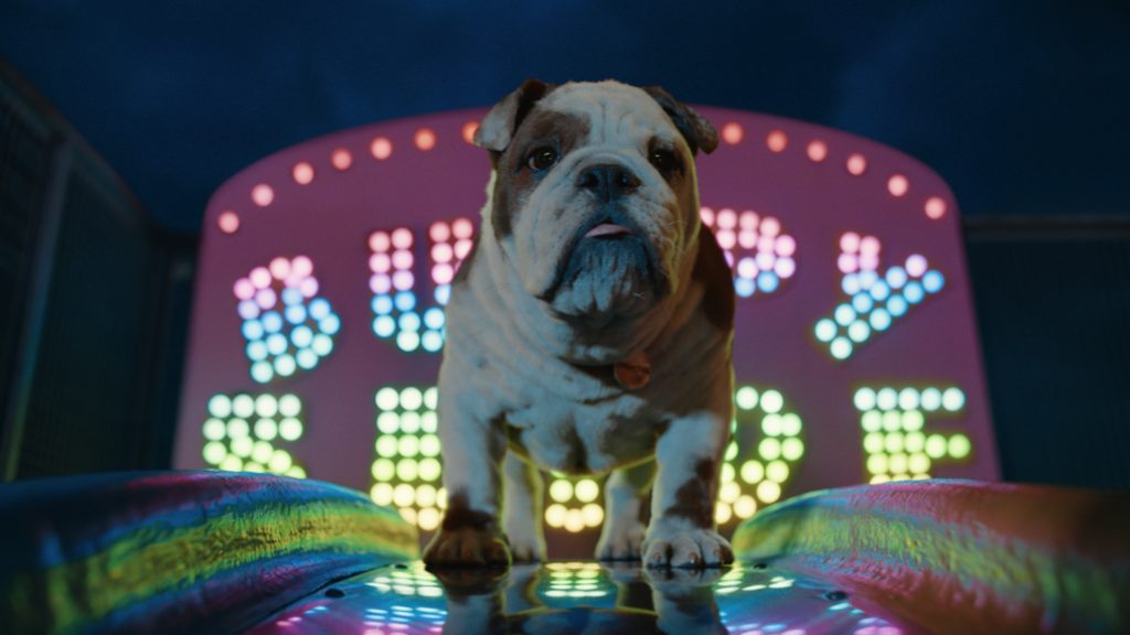 Bulldog in Churchill Insurance commercial, Churchill 'challenge'