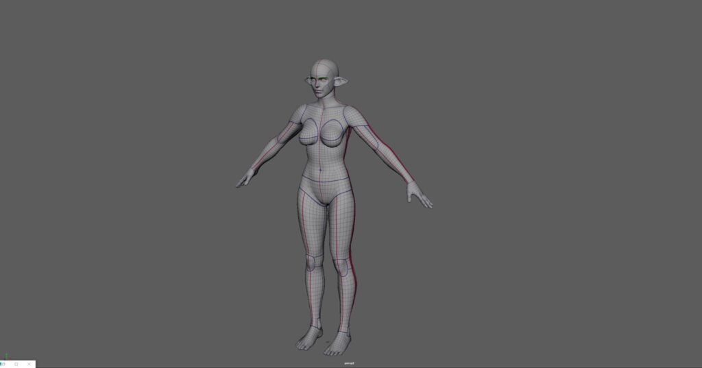 Image of the universal mesh used for female characters