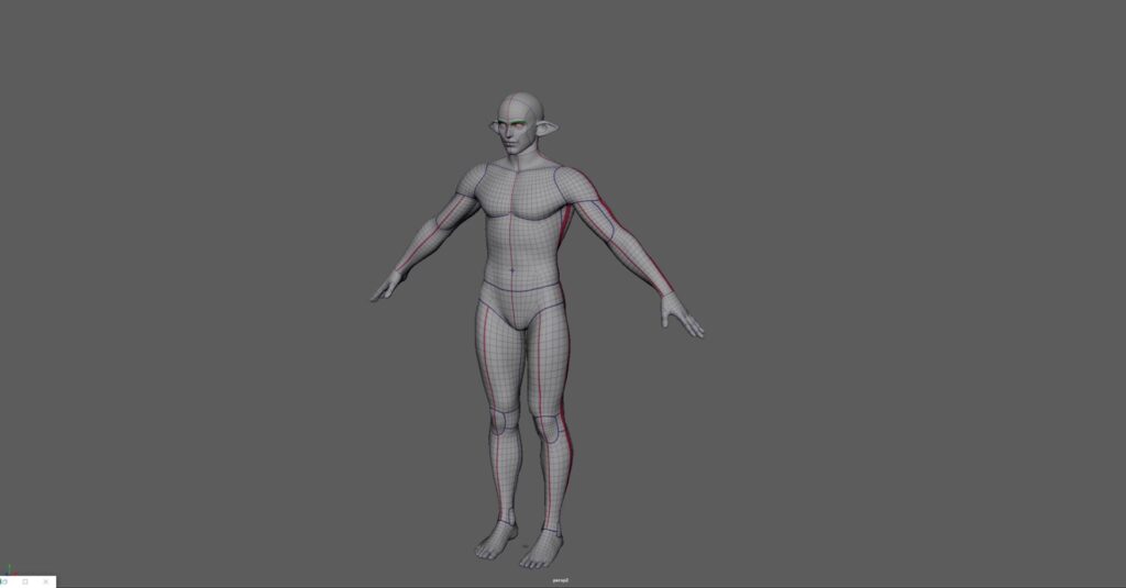 Image of the universal mesh used for male characters