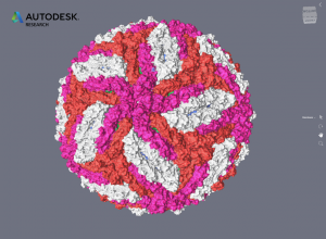 Zika_Autodesk Molecule Viewer