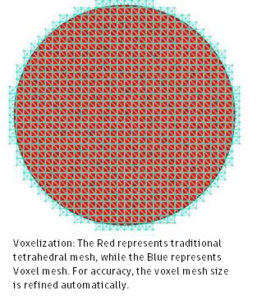Image displaying voxel mesh and tetrahedral mesh