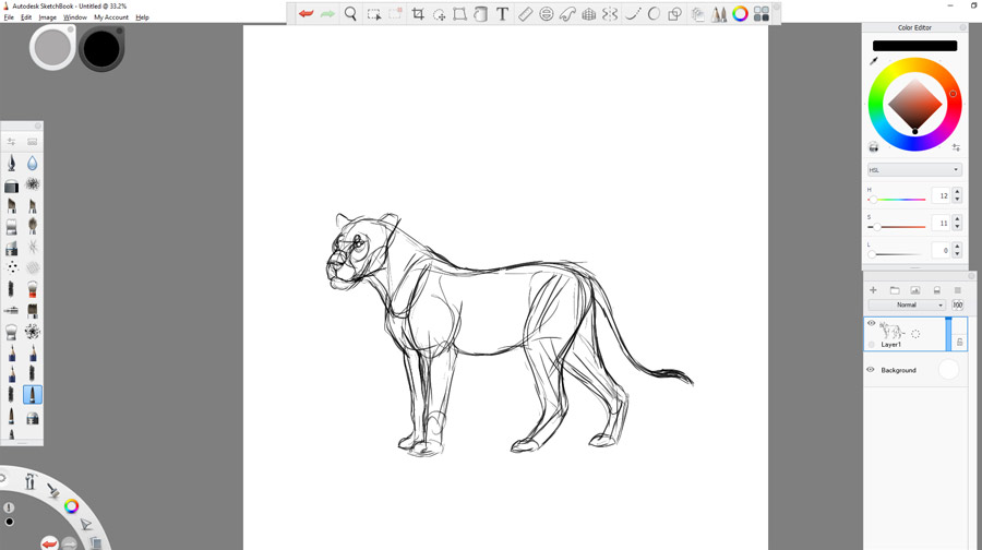 Как нарисовать большую кошку в Sketchbook Autodesk